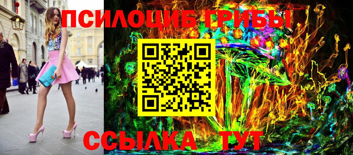 Псилоцибиновые грибы GOLDEN TEACHER  Вход с VPN  Долгопрудный 