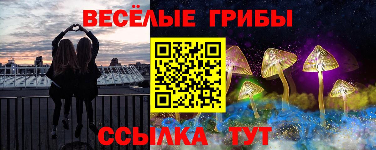 Галлюциногенные грибы Cubensis Долгопрудный